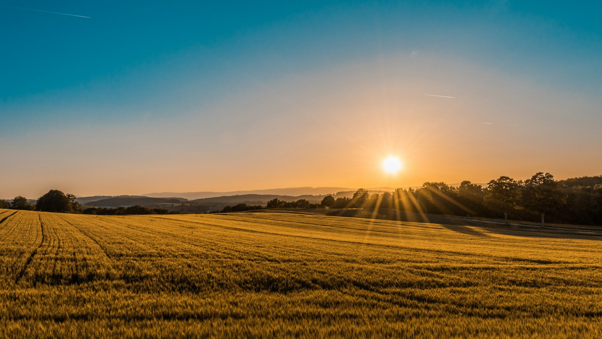 Green Valley Farms open plots