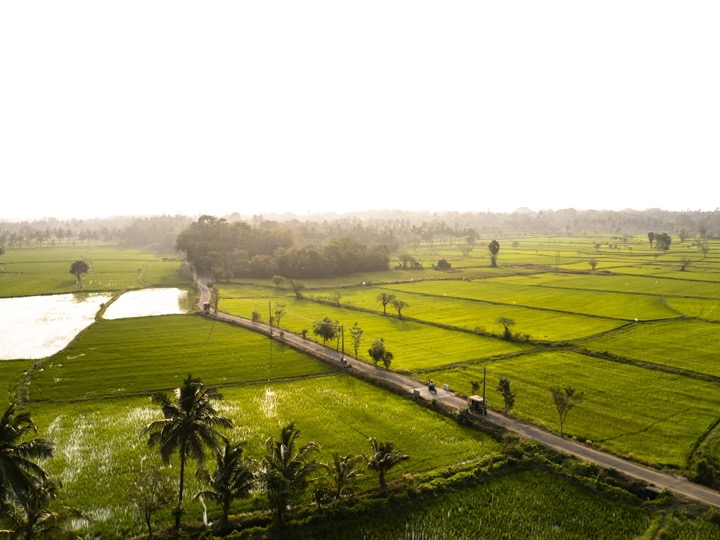 Completed farmland projects in Telangana